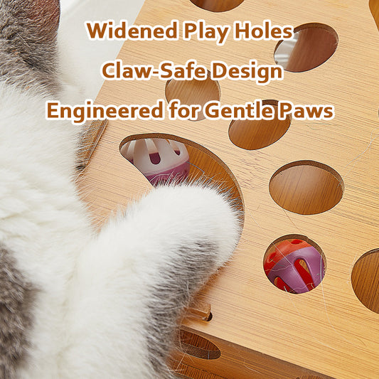 Cat Fancy Track Ball - Fishing Toy: Fun, Educational, and a Cat's Favorite