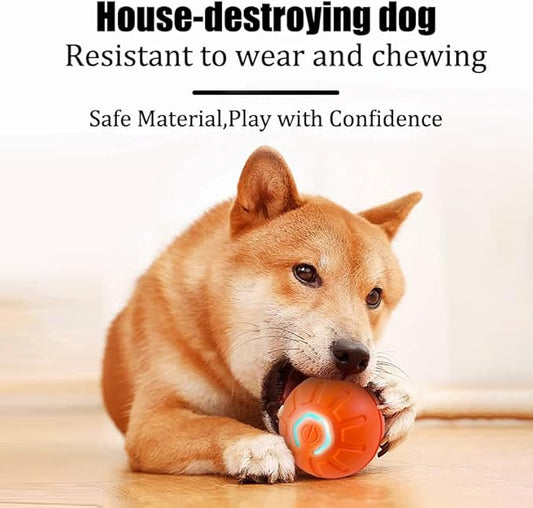 Smart Jumping Ball for Dogs