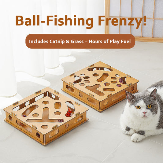 Cat Fancy Track Ball - Fishing Toy: Fun, Educational, and a Cat's Favorite