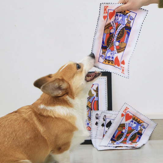 Pet Playing Cards Squeaky Toys - Fun for Aussie Pets!
