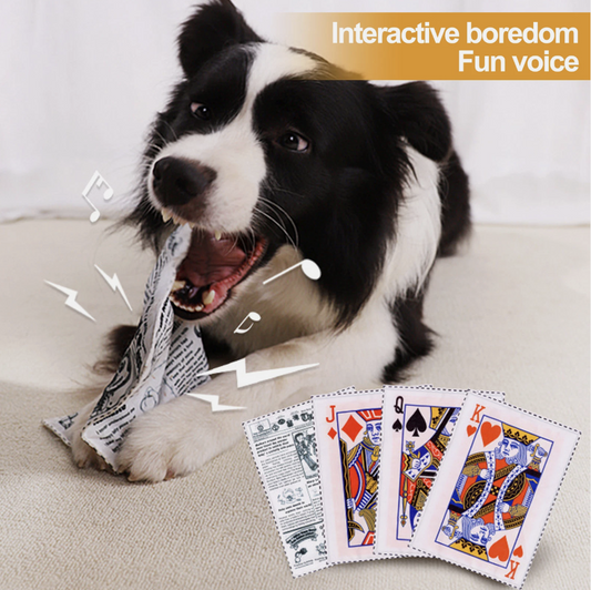 Pet Playing Cards Squeaky Toys - Fun for Aussie Pets!